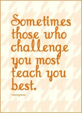 Sometimes those who challenge you most teach you best