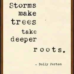 Storms make trees take deeper roots