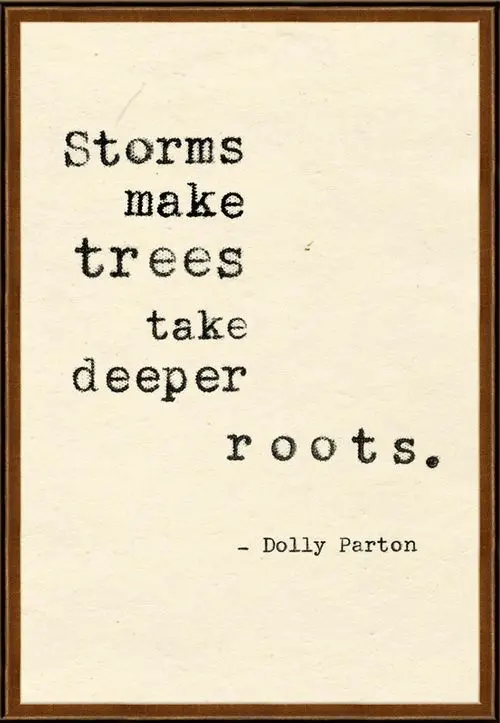 Storms make trees take deeper roots
