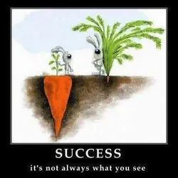Success - it's not always what you see