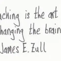Teaching is the art of changing the brain