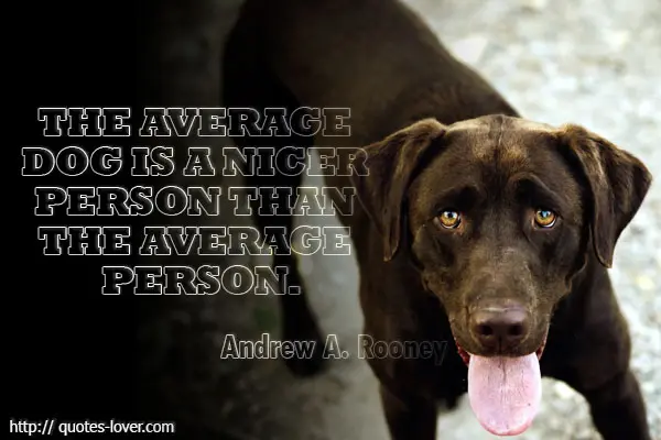 The average dog is a nicer person than the average person.