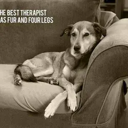 The best therapist has fur and four legs.