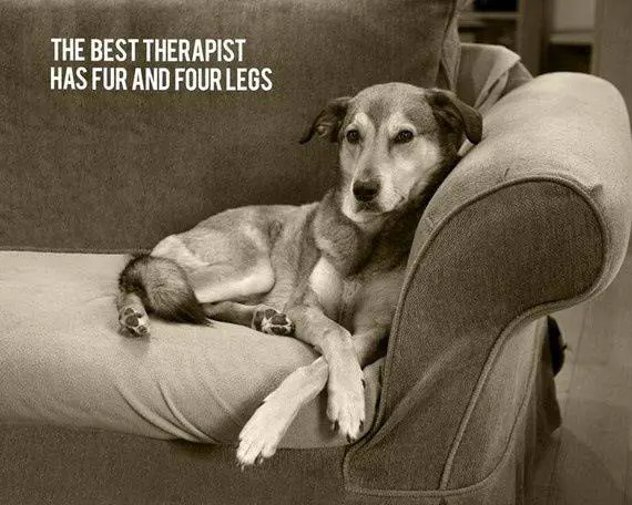 The best therapist has fur and four legs.
