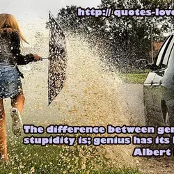 The difference between genius and stupidity is; genius has its limits.