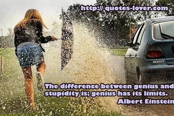 The difference between genius and stupidity is; genius has its limits.