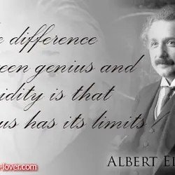 The difference between genius and stupidity is that genius has its limits