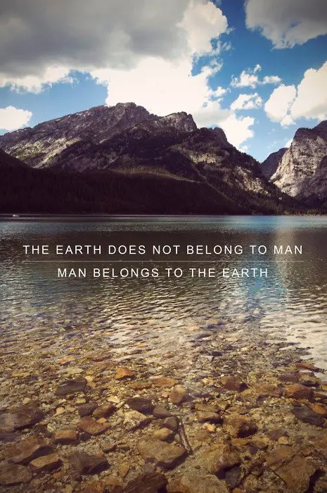 The earth does not belong to man. Man belongs to the earth.