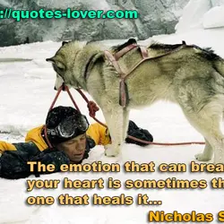 The emotion that can break your heart is sometimes the very one that heals it...