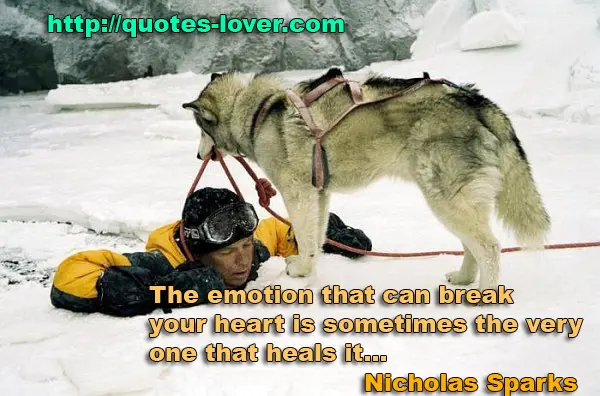 The emotion that can break your heart is sometimes the very one that heals it...
