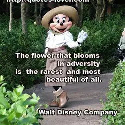 The flower that blooms in adversity is the rarest and most beautiful of all.