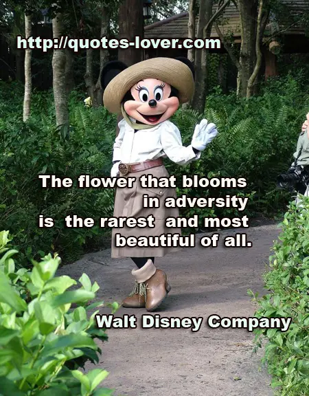 The flower that blooms in adversity is the rarest and most beautiful of all.
