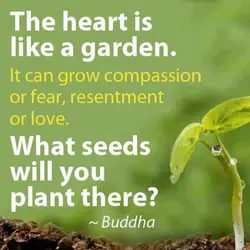 The heart is like a garden. It can grow compassion or fear, resentment or love....
