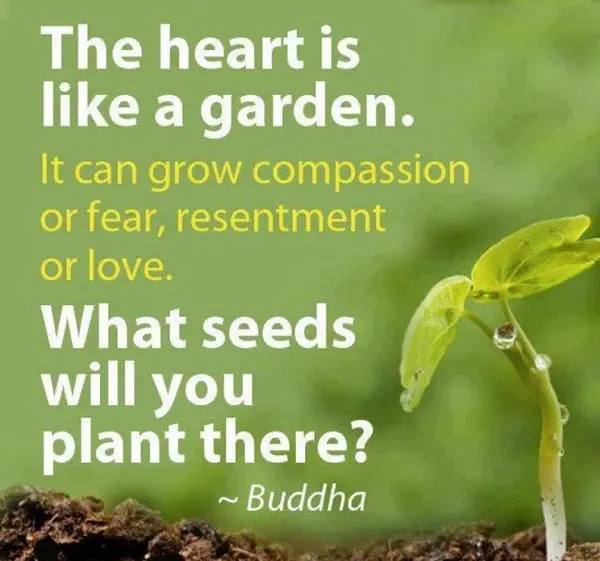 The heart is like a garden. It can grow compassion or fear, resentment or love. What seeds will you plant there?