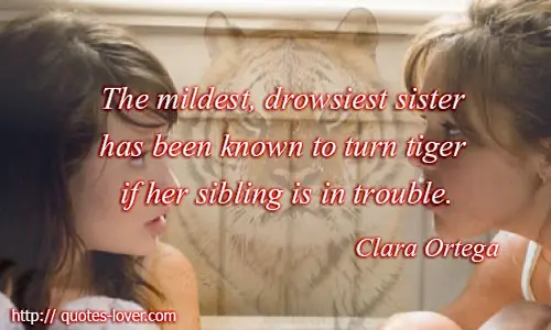 The mildest, drowsiest sister has been known to turn tiger if her sibling is in trouble.