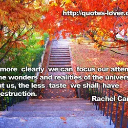 The more clearly we can focus our attention on the wonders and realities of the...