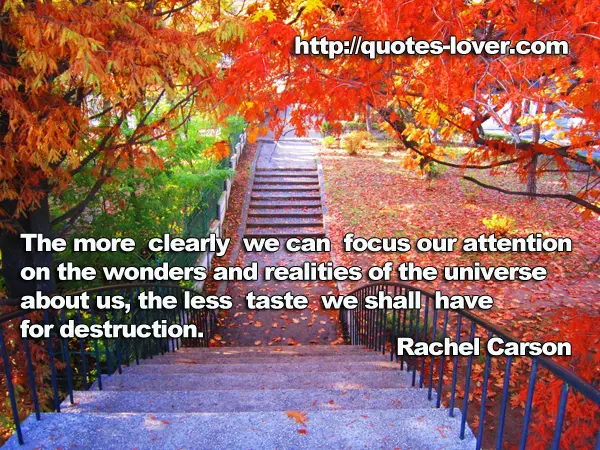 The more clearly we can focus our attention on the wonders and realities of the universe about us, the less taste we shall have for destruction.