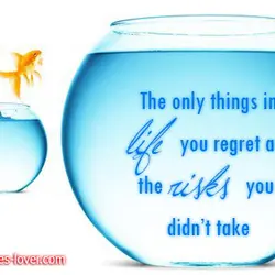 The only things in life you regret are the risks you didn't take