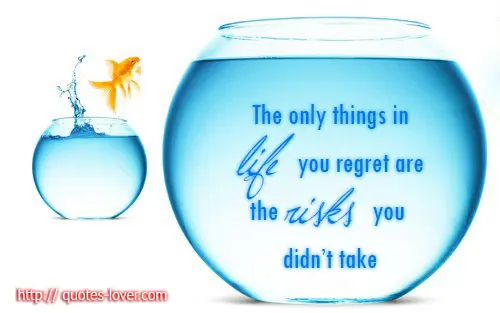 The only things in life you regret are the risks you didn't take