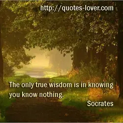 The only true wisdom is in knowing you know nothing.