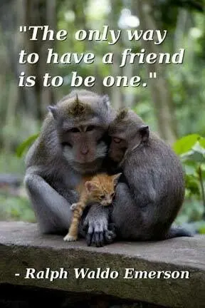 The only way to have a friend is to be one.
