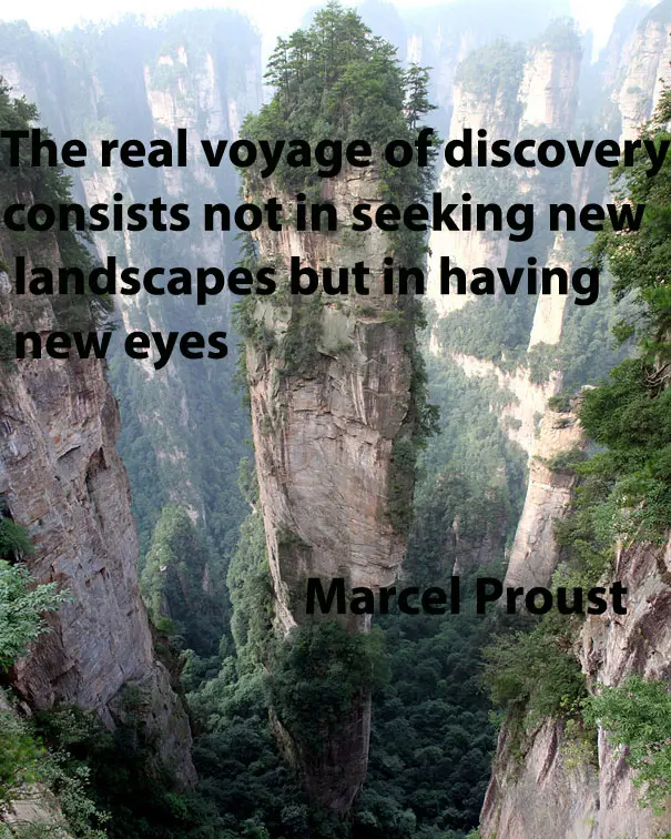 The  real voyage of discovery consists not in seeking new landscapes but in having new eyes