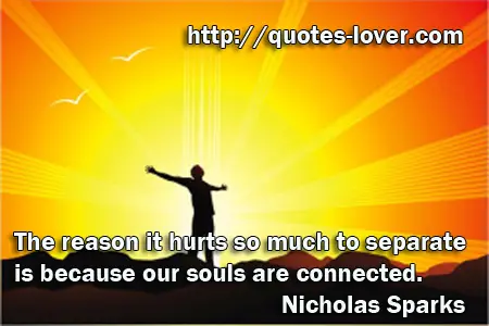 The reason it hurts so much to separate is because our souls are connected.