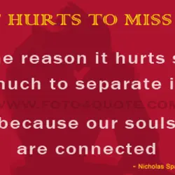 The reason it hurts so much to separate is because our souls are connected
