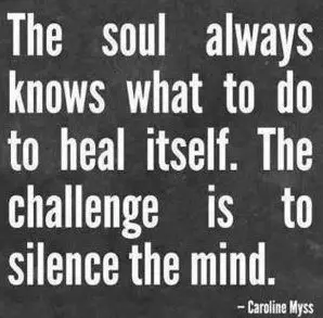 The soul always knows what to do to heal itself. The challnge is to silence the mind.