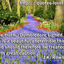 The truth." Dumbledore sighed. "It is a beautiful and terrible thing, and should therefore be...