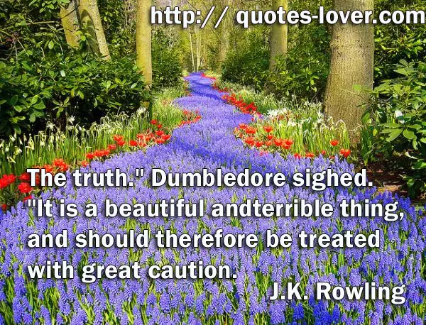 The truth." Dumbledore sighed. "It is a beautiful and terrible thing, and should therefore be treated with great caution.