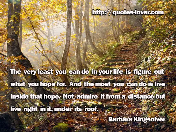 The very least you can do in your life is figure out what you hope for. And the most you can do is live inside that hope. Not admire it from a distance but live right in it, under its roof.