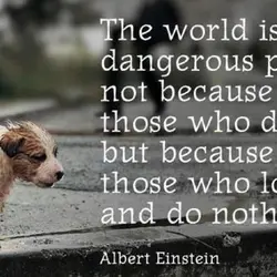 The world is a dangerous place, not because of those who do evil, but because...