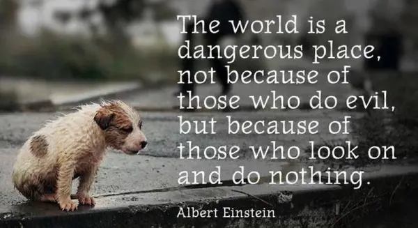 The world is a dangerous place, not because of those who do evil, but because of those who look on and do nothing 