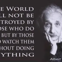 The world will not be destroyed by those who do evil, but by those who...