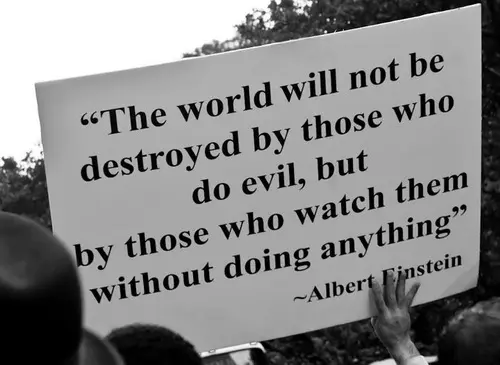The world will not be destroyed by those who do evil, but by those who watch them without doing anything.