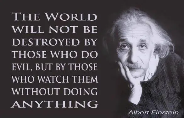 The world will not be destroyed by those who do evil, but by those who watch them without doing anything