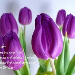 There are two ways to live: You can live as if nothing is a miracle....