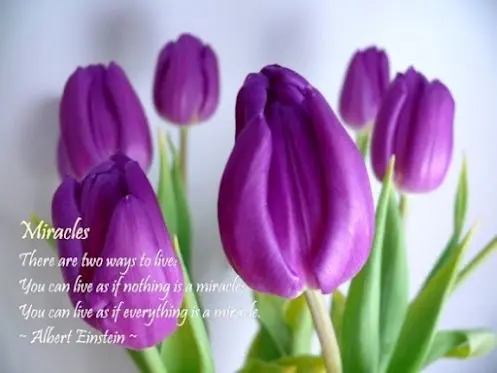 There are two ways to live: You can live as if nothing is a miracle. You can live as if everything is a miracle