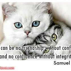 There can be no friendship without confidence, and no confidence without integrity.