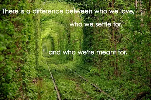 There is a difference betwen who we love, who we settle for, and who we're meant for