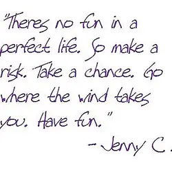 There's no fun in a perfect life. So make a risk. Take a chance. Go...