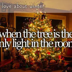 Things I love about winter when the tree is the only light in the room.