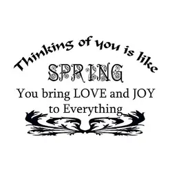 Thinking of you is like SPRING. You bring LOVE and JOY to Everything.