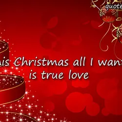 This Christmas all I want is true love.