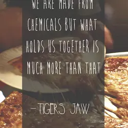 We are made from chemicals but what holds us together is much more than that