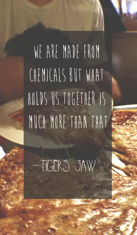 We are made from chemicals but what holds us together is much more than that