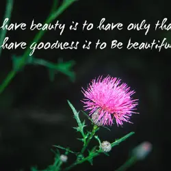 To have beauty is to have only that. But to have goodness is to be...