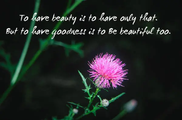 To have beauty is to have only that. But to have goodness is to be beautiful too