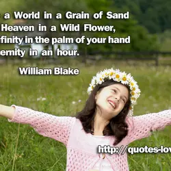 To see a World in a Grain of Sand And a Heaven in a Wild...